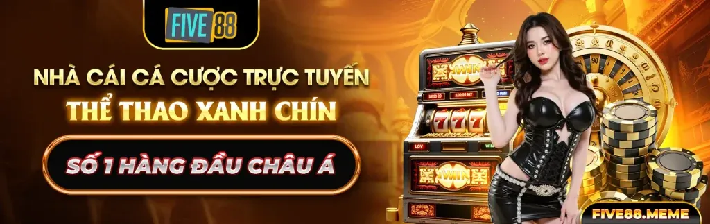Theo dõi hiệu suất