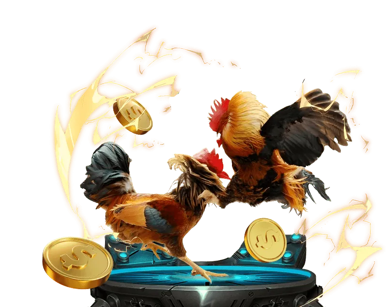 Giao diện cá cược đá gà 788alo win